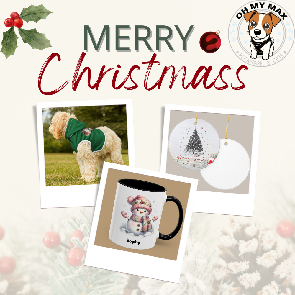 ✨Christmas Day🎄