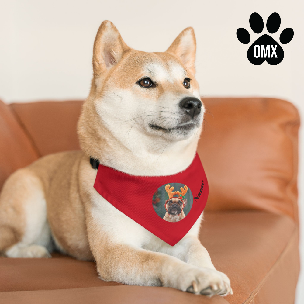 Bandana, Personalized Pet Bandana Collar – Custom Photo & Name for Dogs & Cats