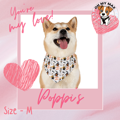 Bandana, Custom Pet Bandana Collar – Adjustable & Washable Accessory for Dogs and Cats