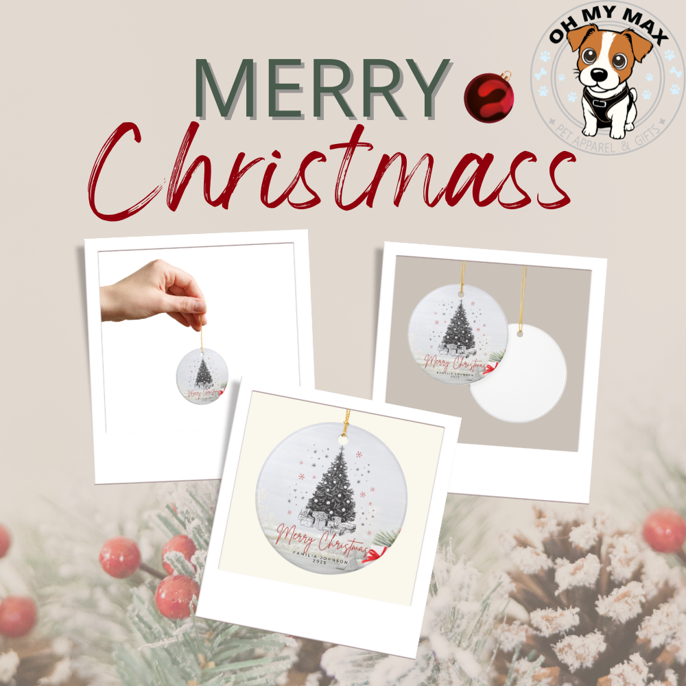 Ornament, Ceramic Christmas Ornament – Personalized Family Last Name Decoration, Custom Surname Keepsake, The [Your Last Name] Family Gift