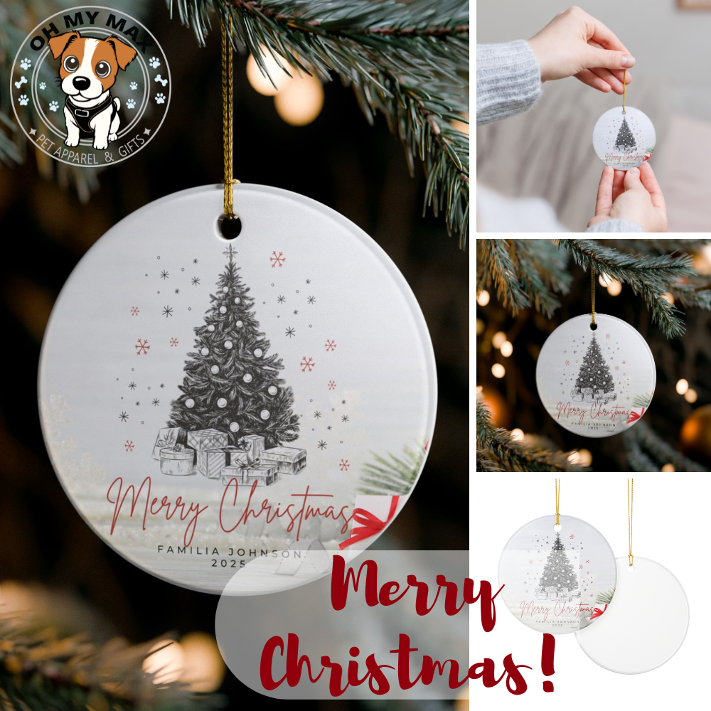 Ornament, Ceramic Christmas Ornament – Personalized Family Last Name Decoration, Custom Surname Keepsake, The [Your Last Name] Family Gift