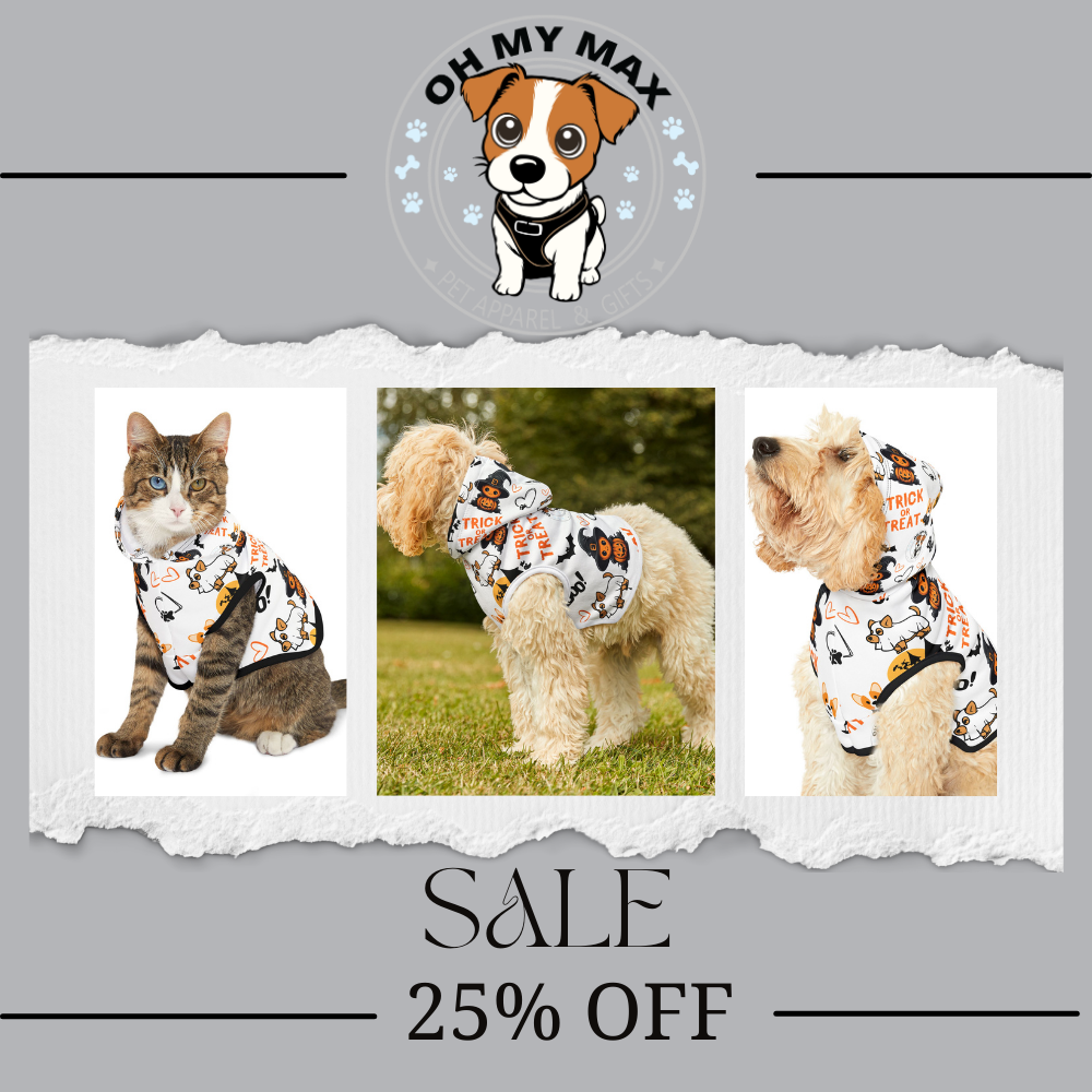 Halloween Matching Family Sweater & Dog Hoodie, Spooky Pet & Owner Outfit, Cute Ghost Pumpkin Design, The “Johnson” Family Shirt