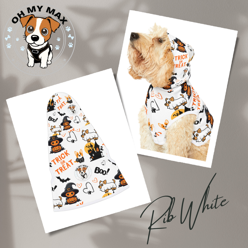 Halloween Matching Family Sweater & Dog Hoodie, Spooky Pet & Owner Outfit, Cute Ghost Pumpkin Design, The “Johnson” Family Shirt