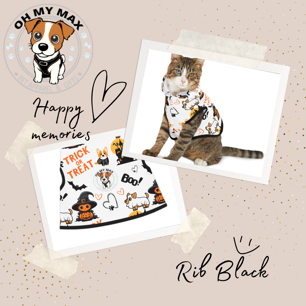 Halloween Matching Family Sweater & Dog Hoodie, Spooky Pet & Owner Outfit, Cute Ghost Pumpkin Design, The “Johnson” Family Shirt