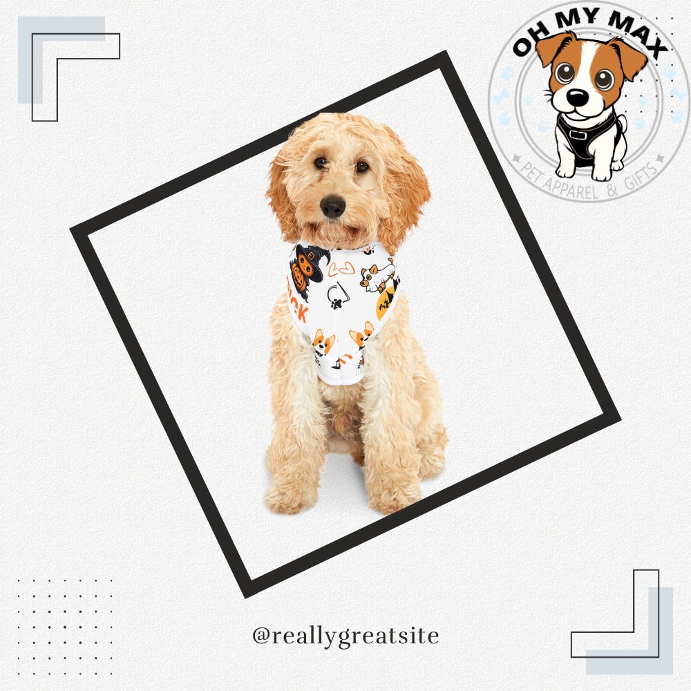 Halloween Matching Family Sweater & Dog Hoodie, Spooky Pet & Owner Outfit, Cute Ghost Pumpkin Design, The “Johnson” Family Shirt