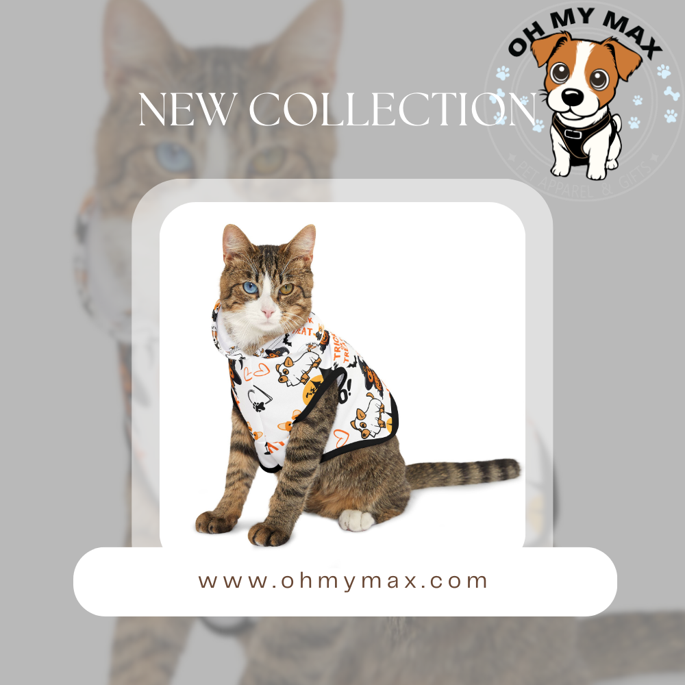 Halloween Matching Family Sweater & Dog Hoodie, Spooky Pet & Owner Outfit, Cute Ghost Pumpkin Design, The “Johnson” Family Shirt